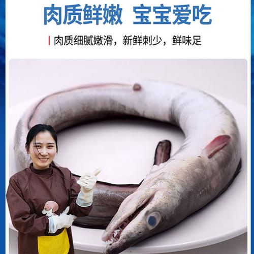 【水产鳝鱼】-水产鳝鱼厂家,品牌,图片,热帖